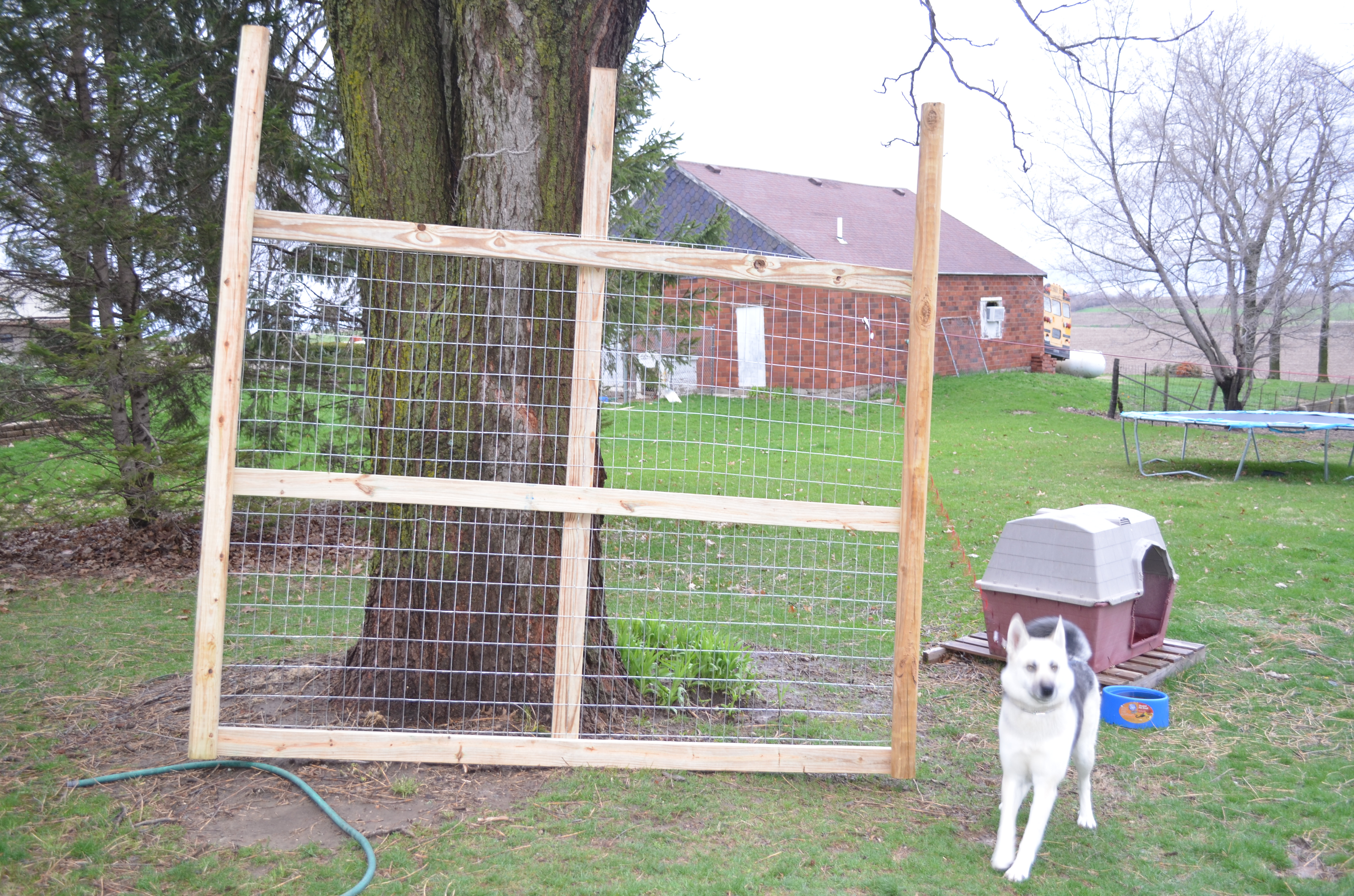 DIY Build Your Own Chicken Coop #DigIn #HeartOutdoors - Surviving A 