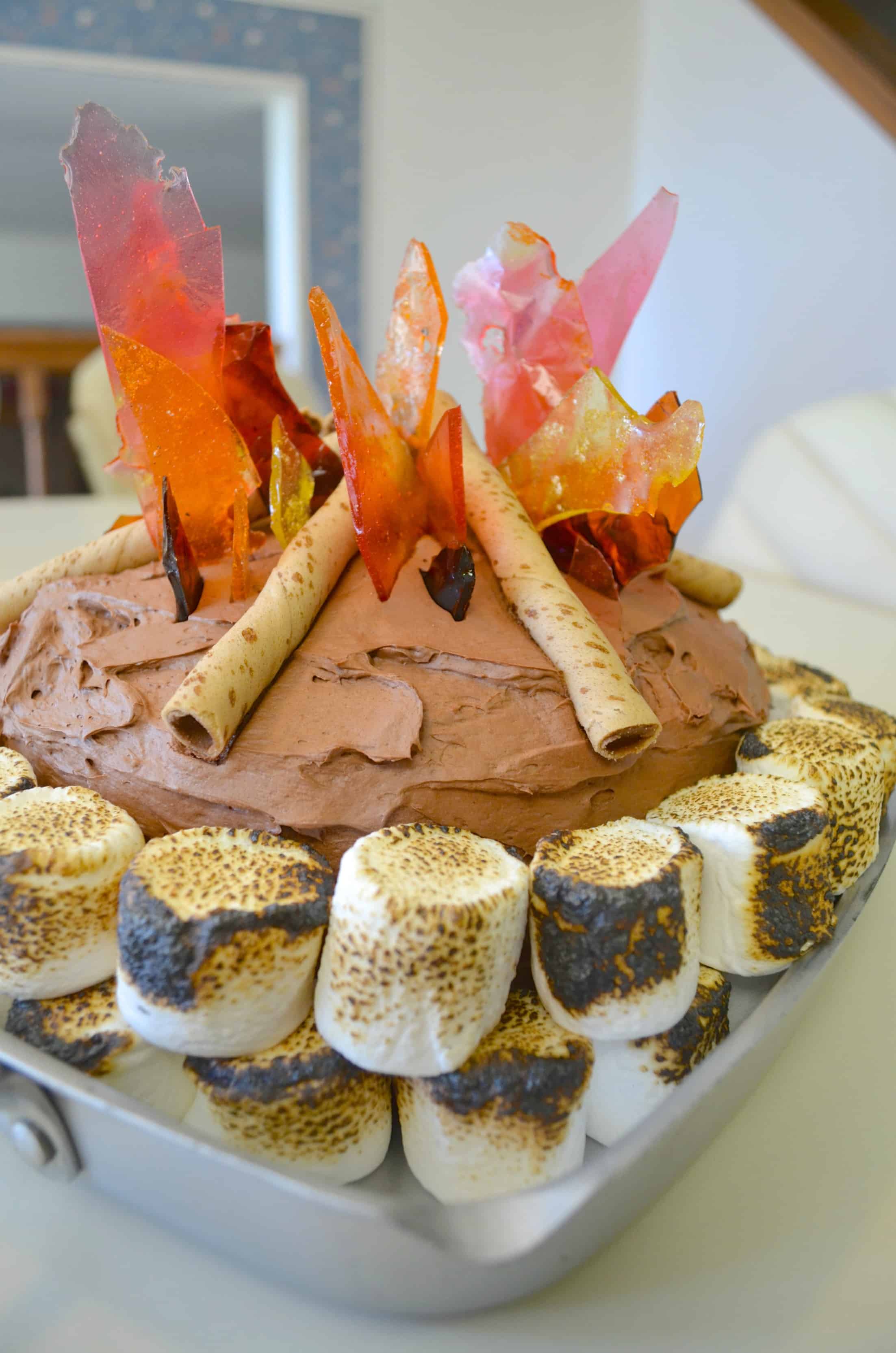 Campfire Camping Birthday Party Ideas For Kids Tutorials