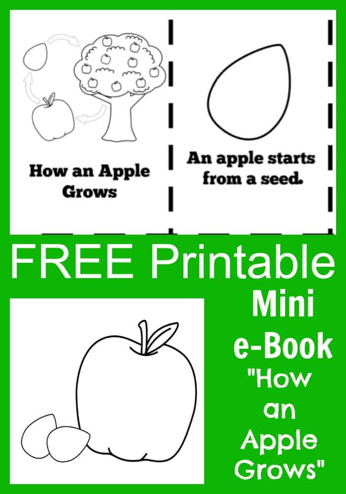 mini books for kids free printable