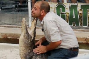 gatorland gator wrestling