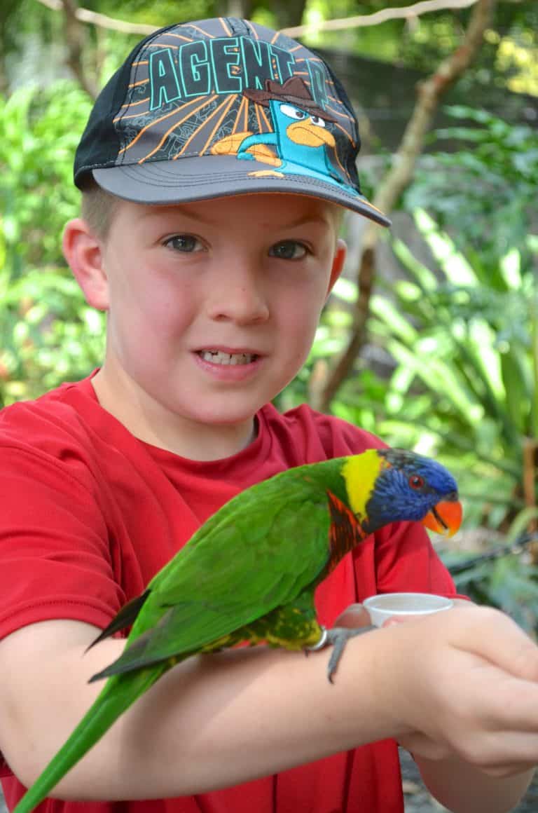 Lowry Park Zoo - my #1 Choice for Kid's Travel in Tampa Florida