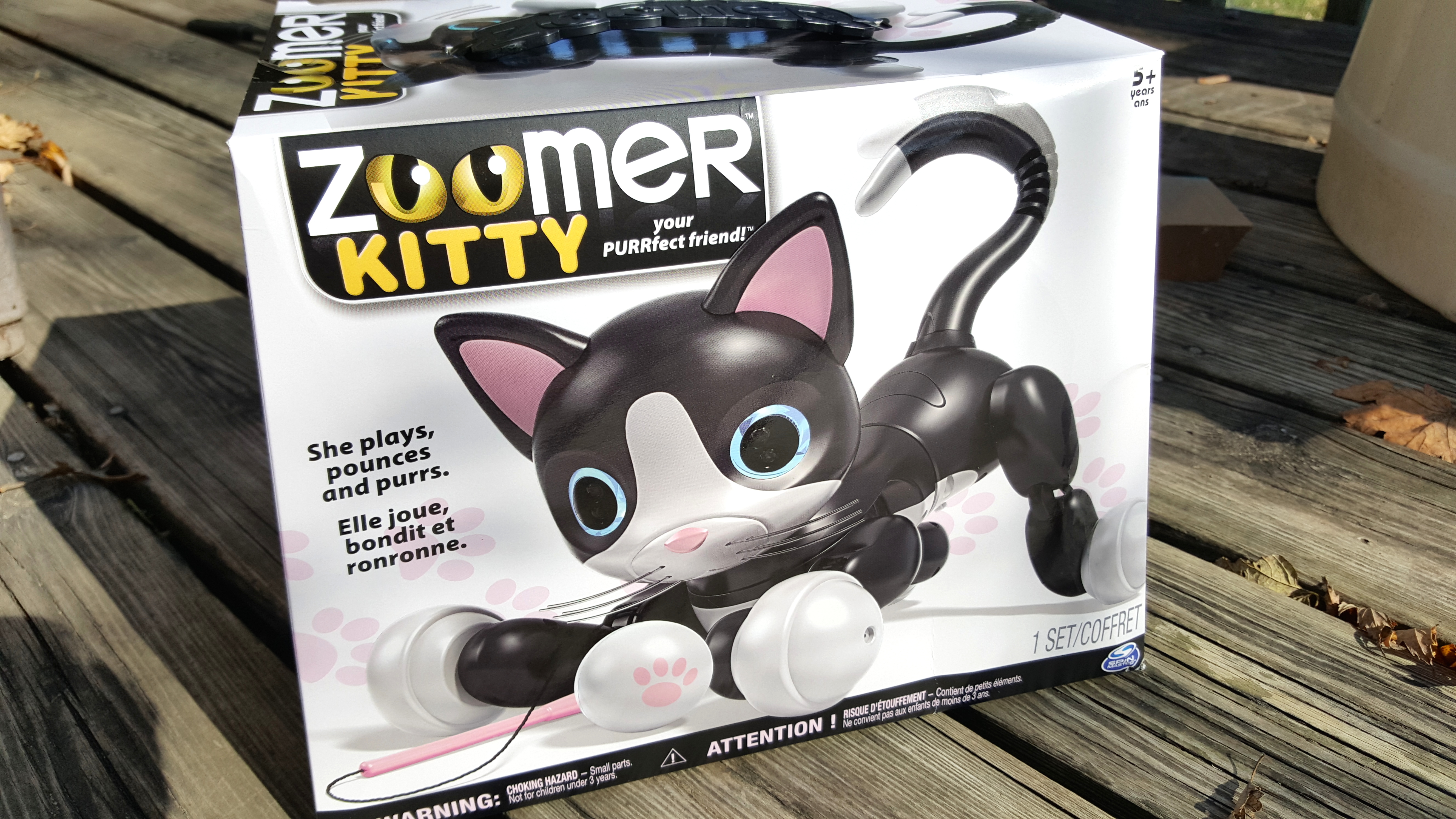 zoomer cat