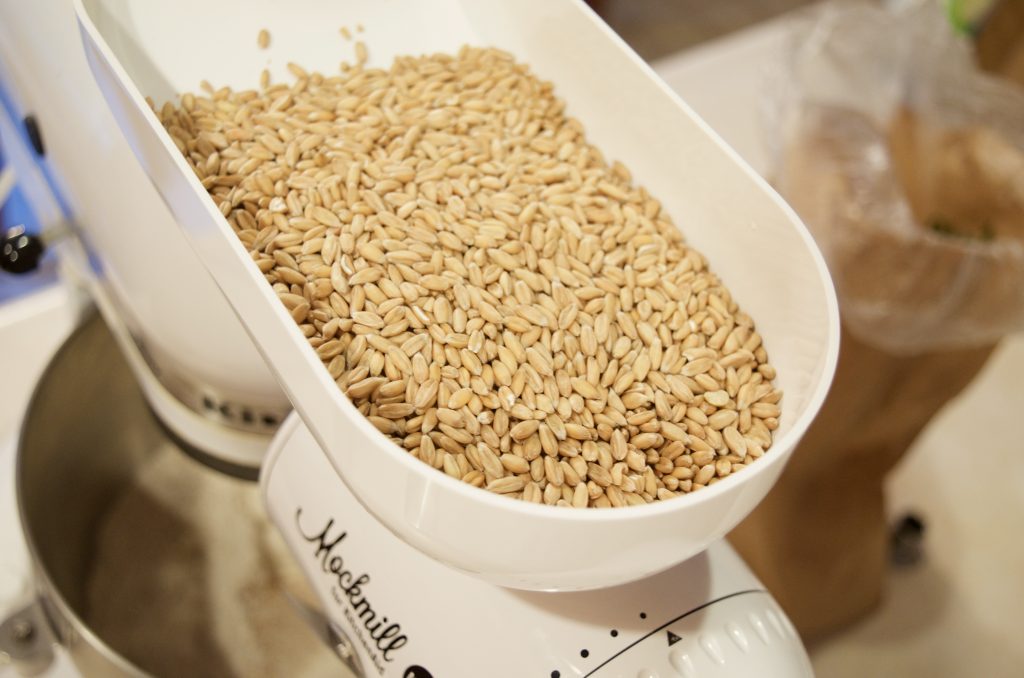 Mockmill Grain Mill Attachment For Stand Mixers – Breadtopia