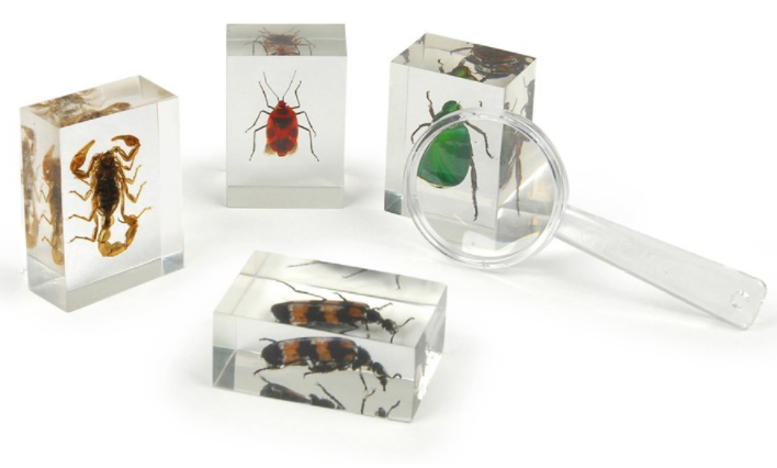 great gifts for insect lovers