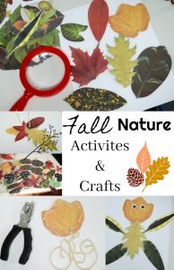 8 Fall Activities & Nature Crafts for Kids Using Leaves & Sticks