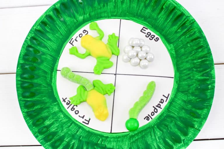 Frog Life Cycle Paper Plate Craft for Kids in Science
