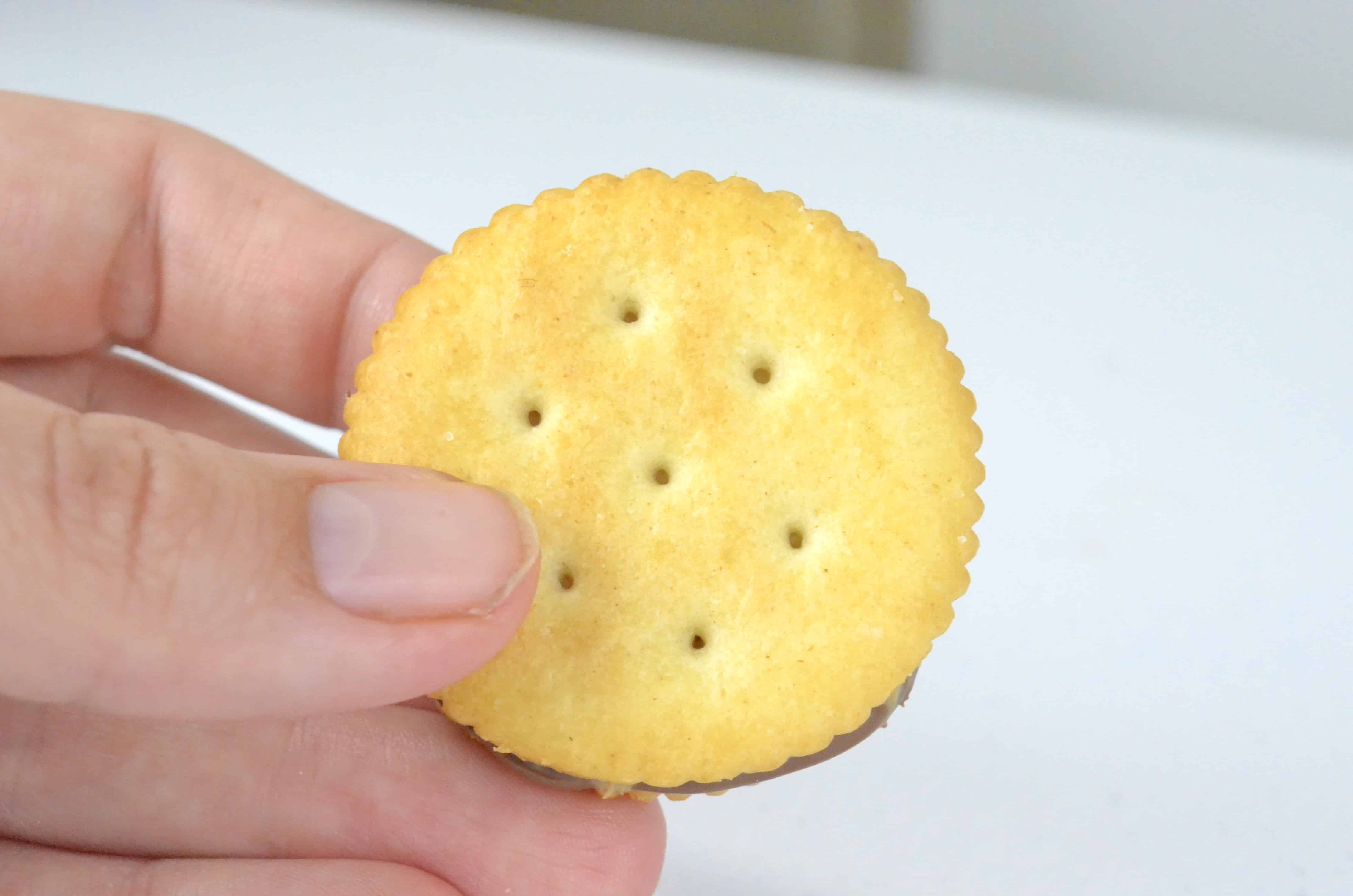 where to buy ritz dinosaur crackers