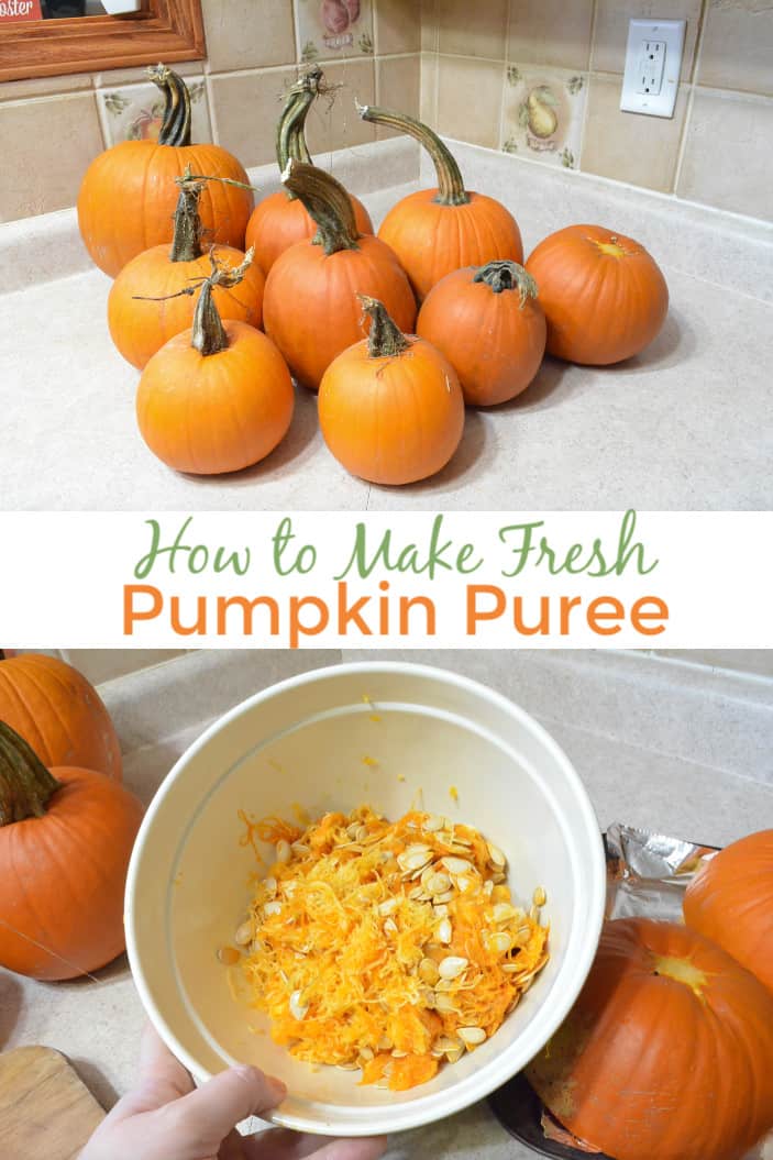 How to Make Pumpkin Puree in Simple Step by Step Tutorial