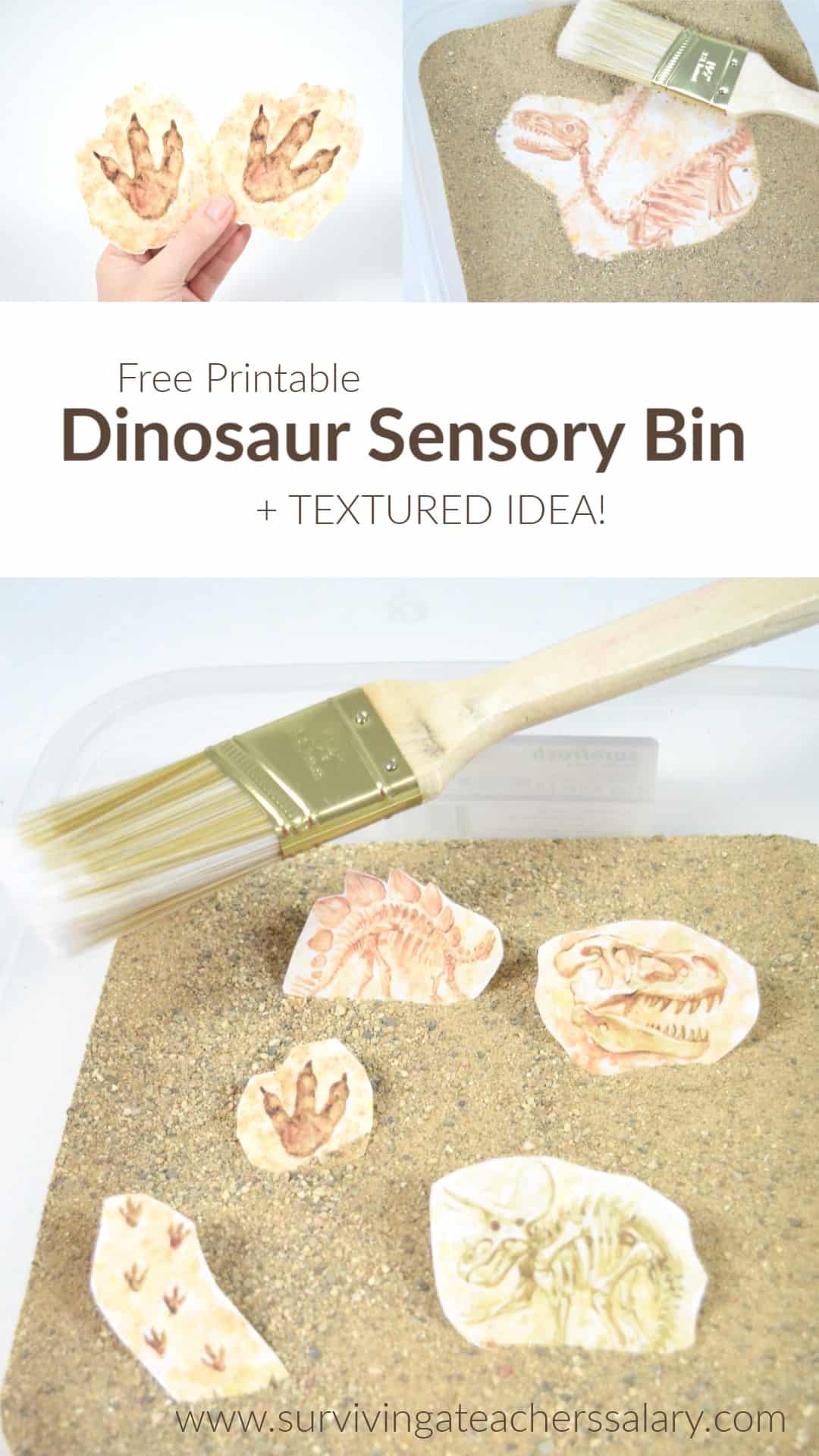 dinosaur sensory activities