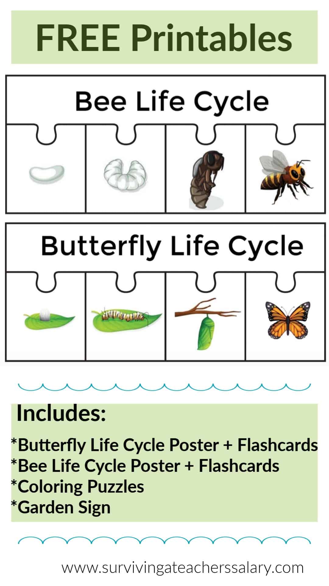 Free Bee & Butterfly Life Cycle Printables & Puzzles