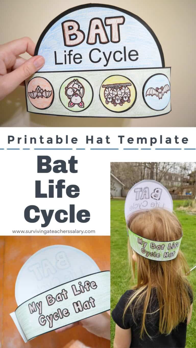 Free Printable Bat Life Cycle Hat Template Learning Resource for Kids