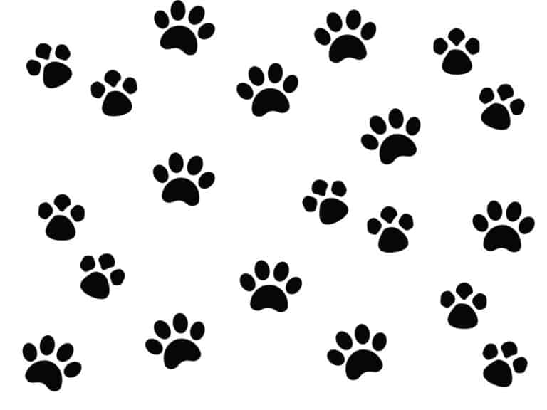 FREE Printable Dog themed Wrapping Paper Printables